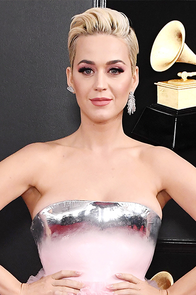 Grammys 2019 Katy Perry